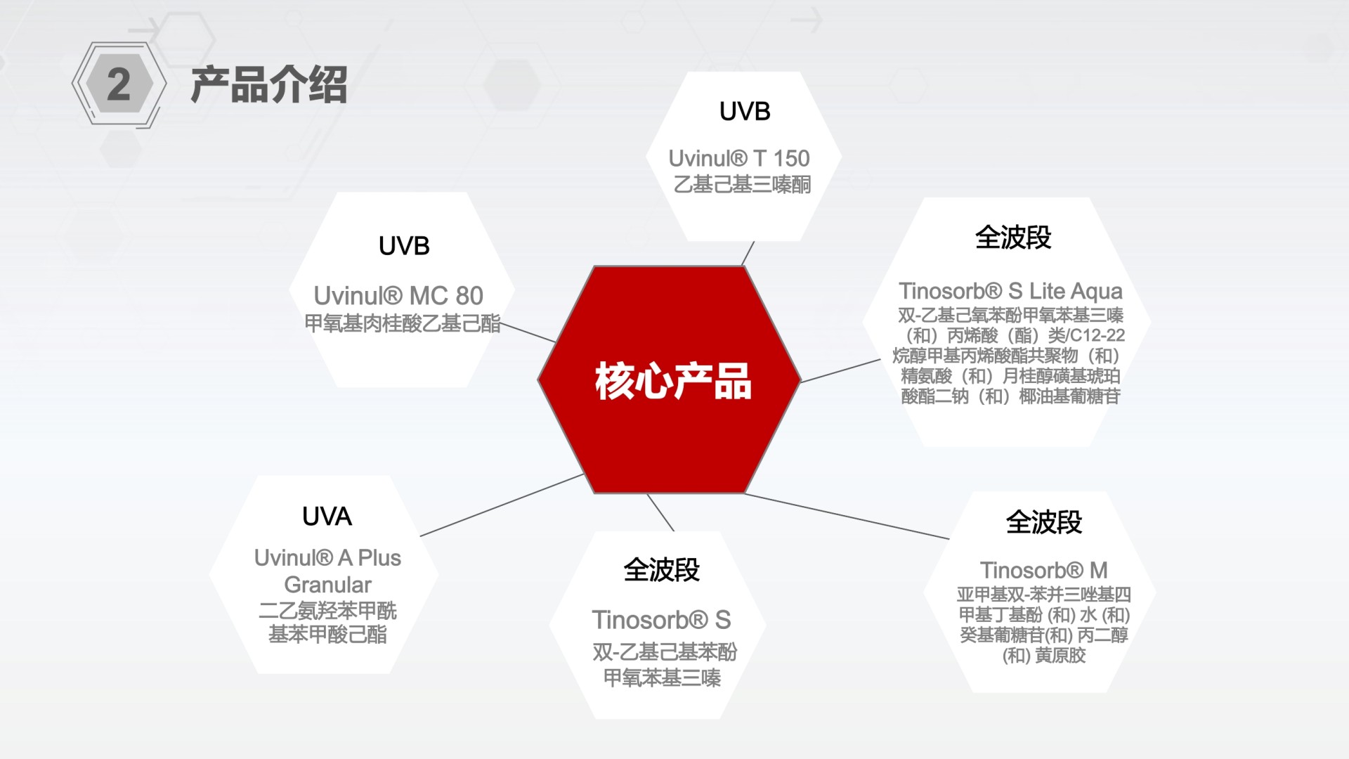 二四六天天彩资料大全网