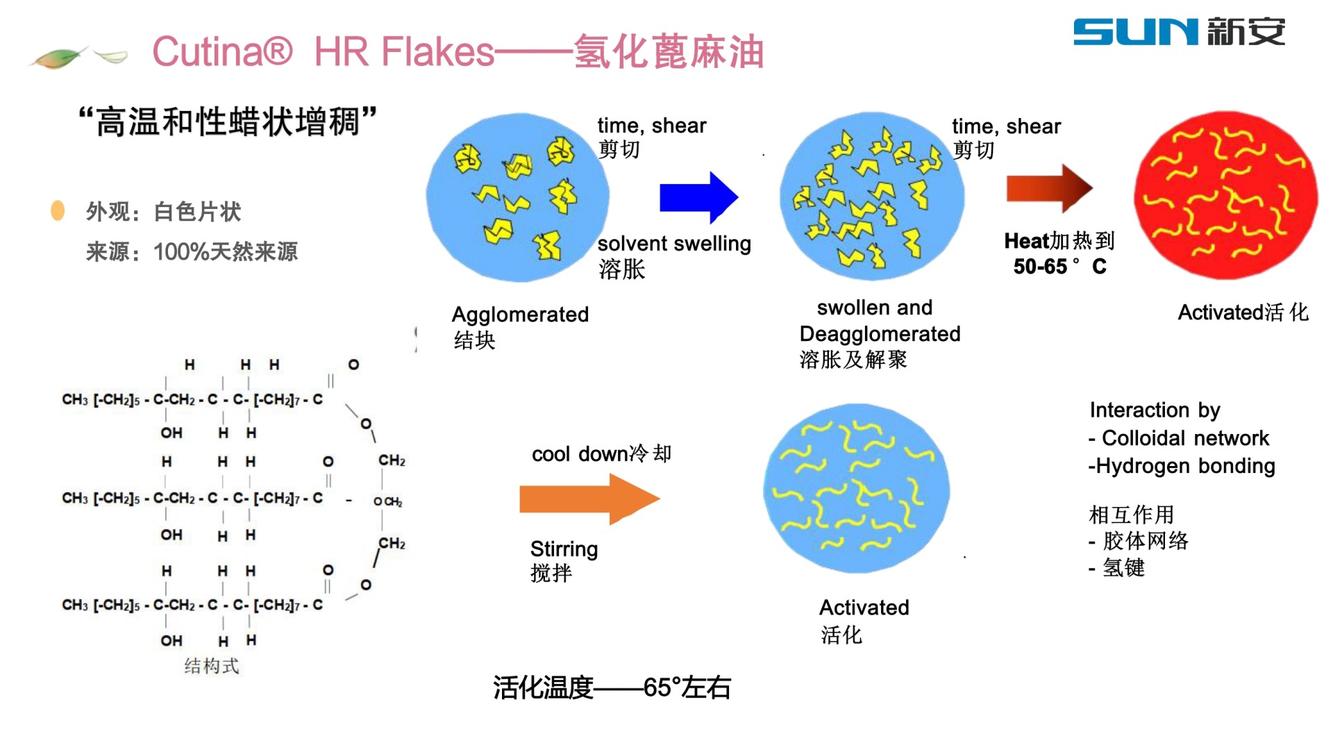 二四六天天彩资料大全网