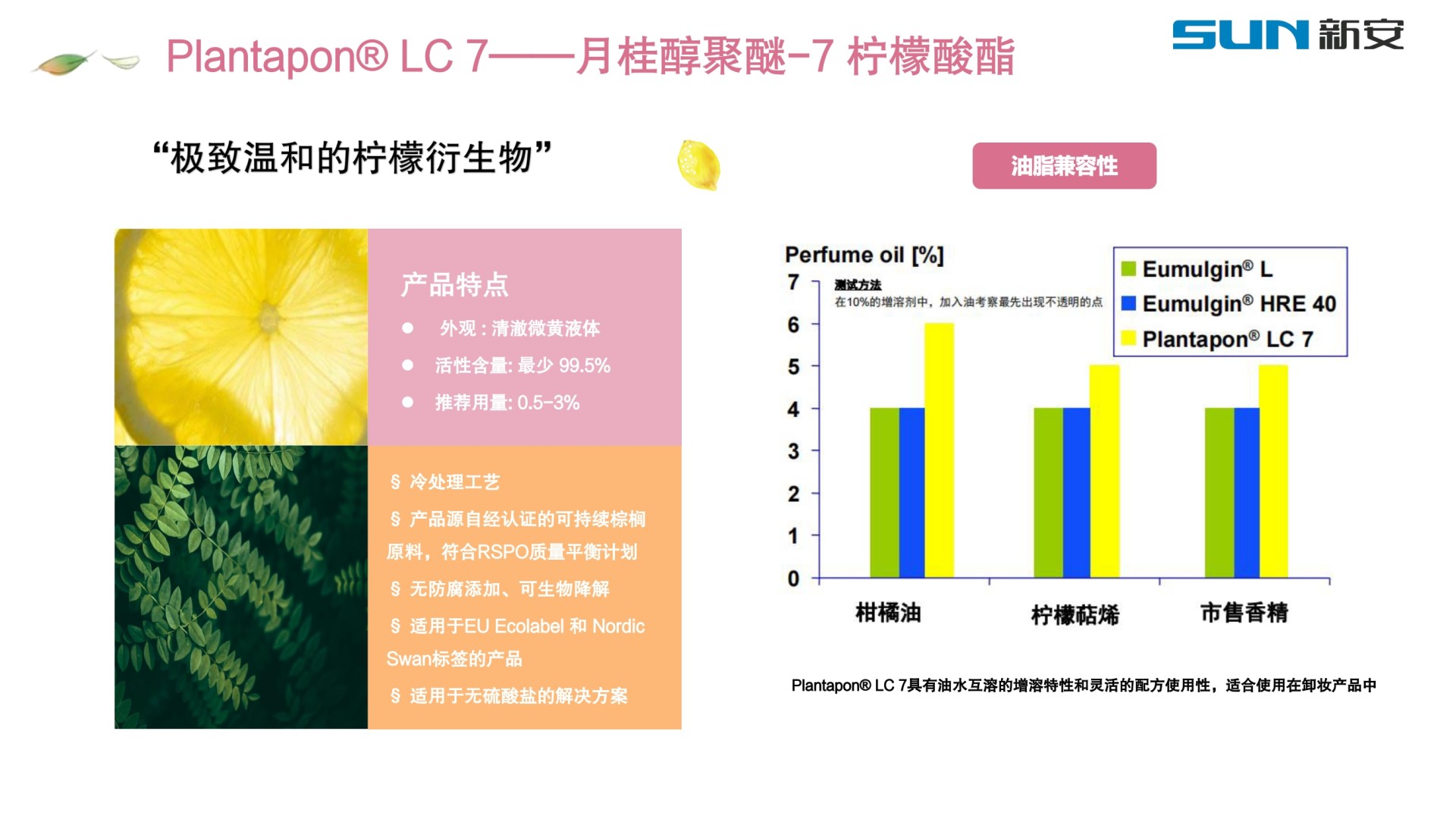 二四六天天彩资料大全网